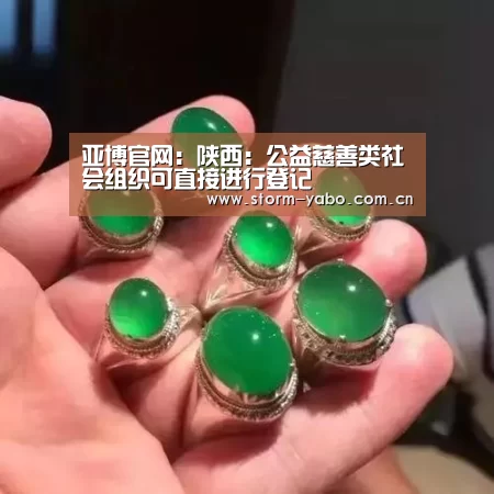 亚博官网:陕西:公益慈善类社会组织可直接进行登记(图3) 亚博