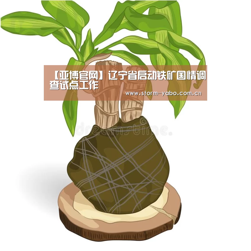 【亚博官网】辽宁省启动铁矿国情调查试点工作(图2) 亚博体育