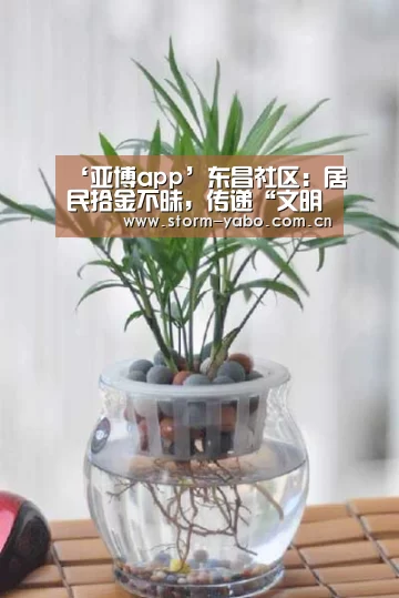 亚博官网